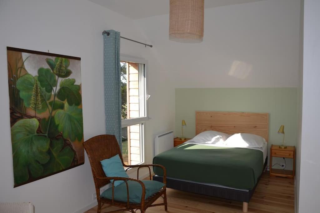 La Maison Des Cordelles Saint-Denis-en-Val Eksteriør billede