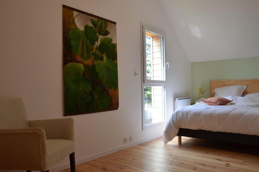 La Maison Des Cordelles Saint-Denis-en-Val Eksteriør billede